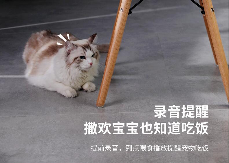 語音芯片